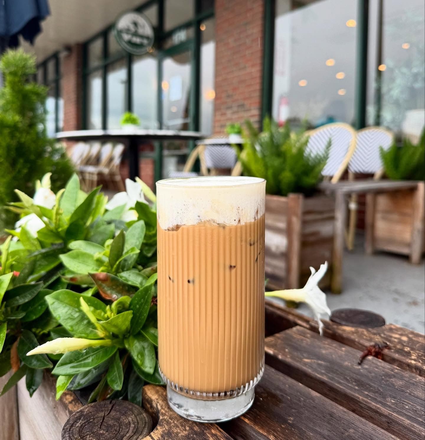Iced glass coffee — a signature Viet Kitchen creation